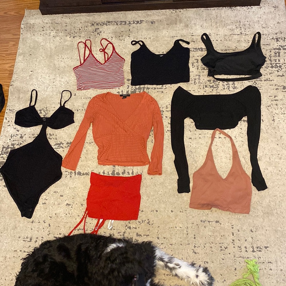 Random Assortment of Crop tops and Body Suit